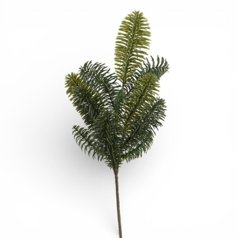 RAMO PINO FORREST SPRAY 45CM G